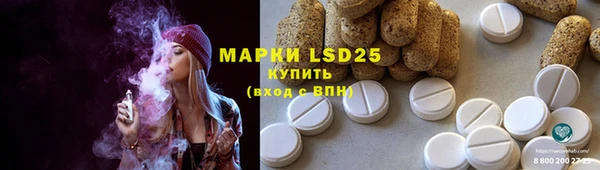 2c-b Инта