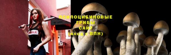 2c-b Инта