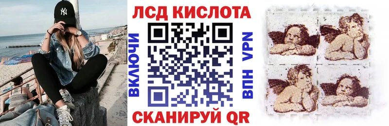 Купить закладки  Шахунья  Наркотические марки 1,8мг 