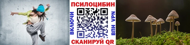 Купить закладки  Шахунья  Галлюциногенные грибы Magic Shrooms 